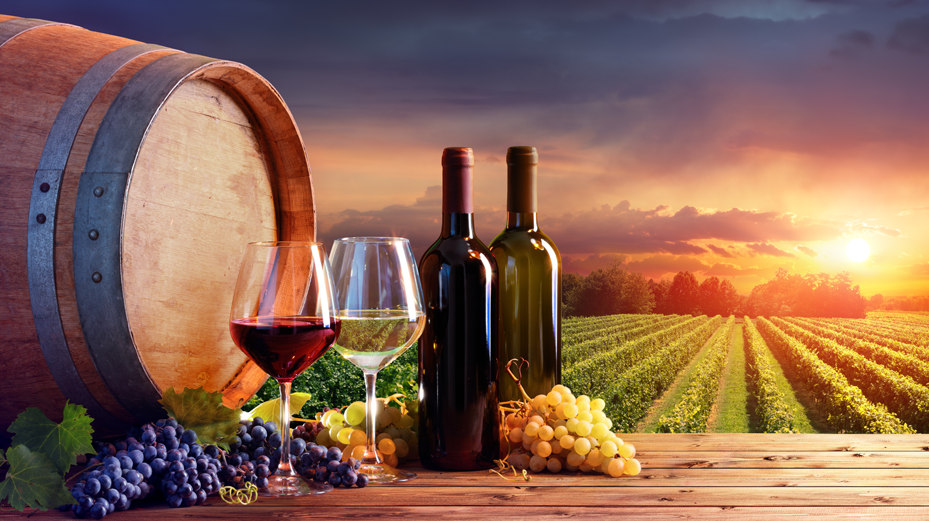 MOYA Winnica – podróż szlakiem doskonałych win